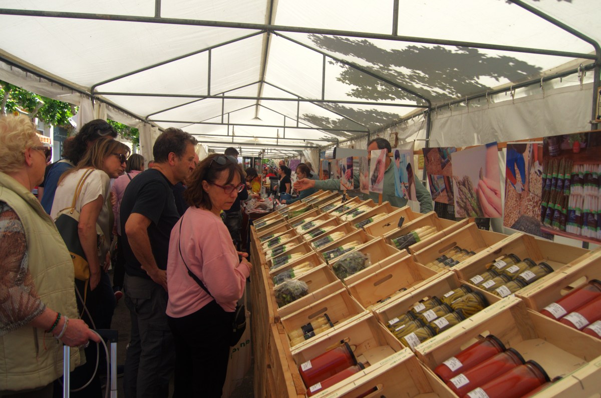 ‘El Espárrago’ de Tudela rebosa de cultura local un año&nbsp;más